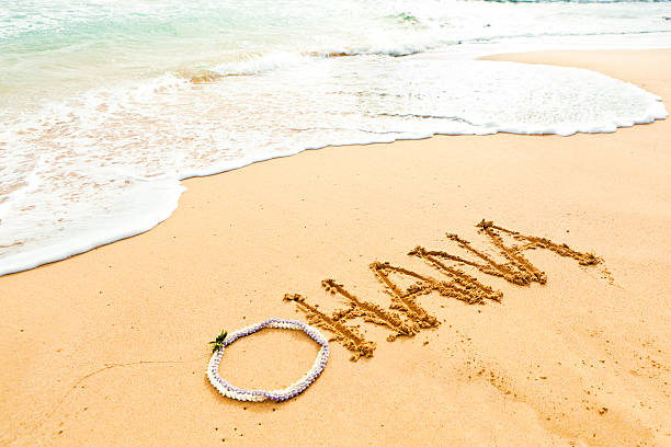 アクセスいただきありがとうございます。: OHANAの第一歩にアクセスいただきありがとうございます。: ?